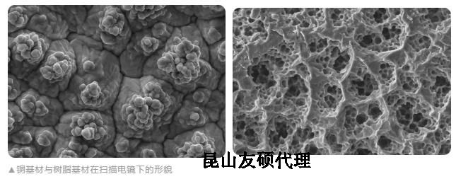 嘉定蔡司嘉定扫描电镜