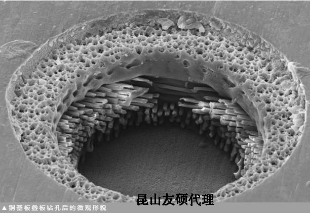 嘉定蔡司嘉定扫描电镜